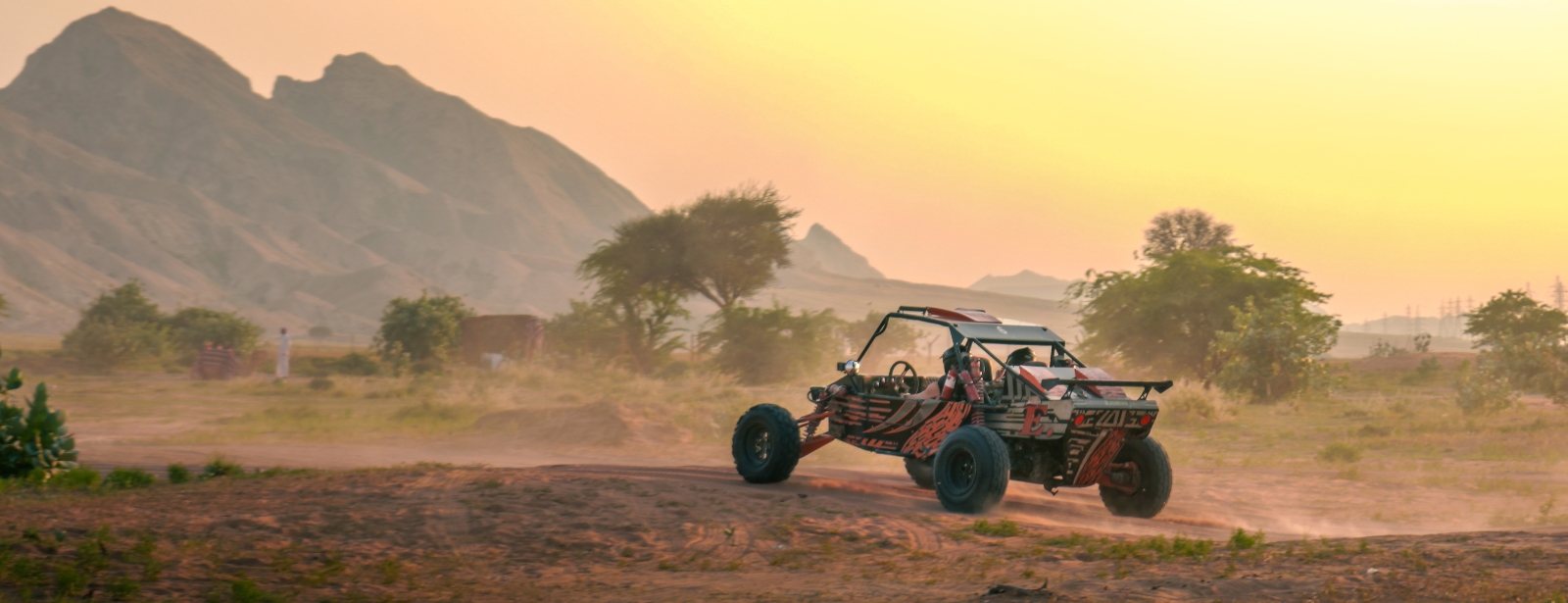 Private Dinner in the desert with optional Buggy Experience