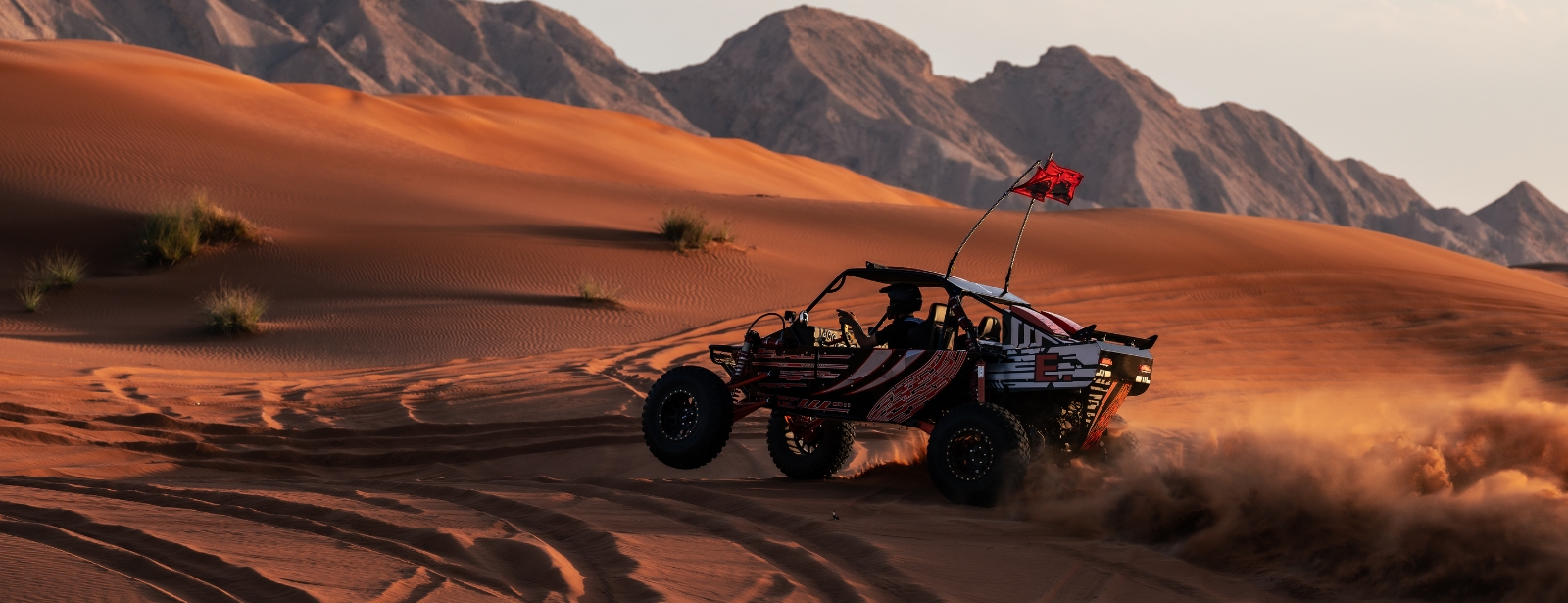 Dune Buggy Experience with Optional BBQ dinner