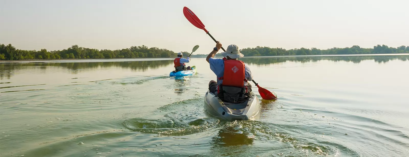 Guided Kayak Tour in the Reem Central Park Mangroves