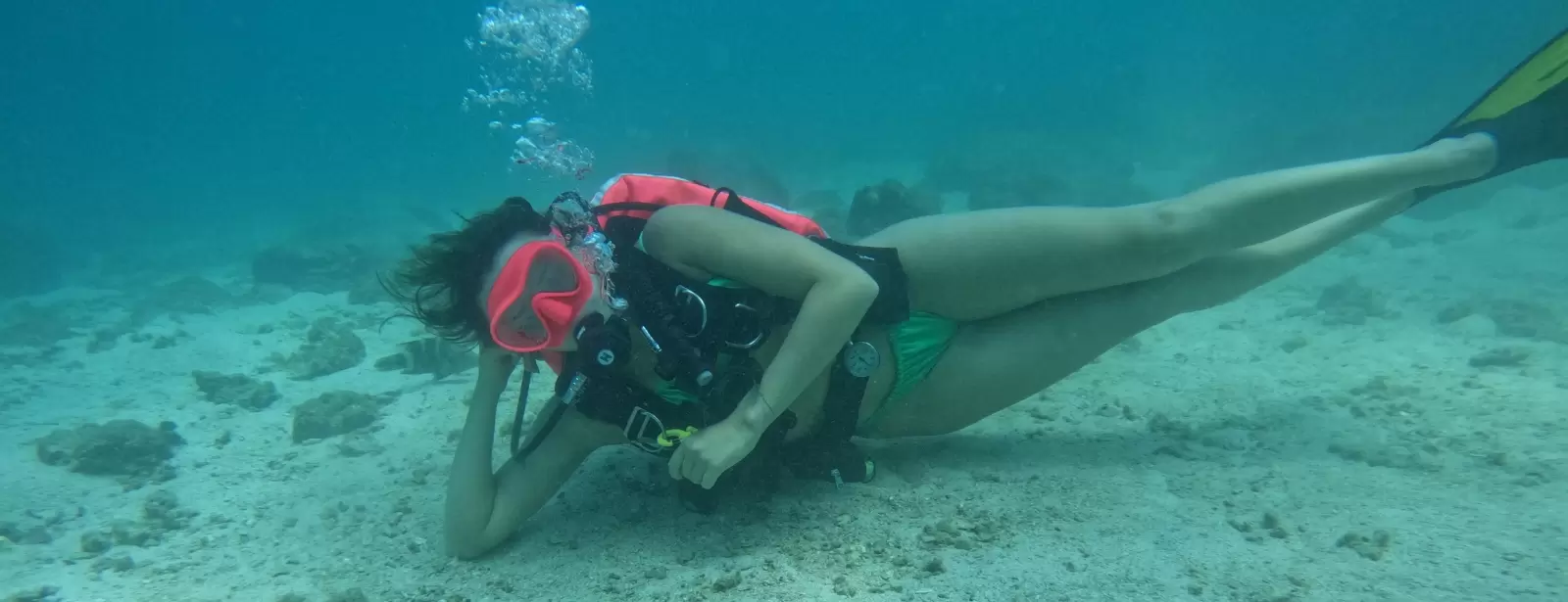 Dive & Snorkel Trips in Fujairah