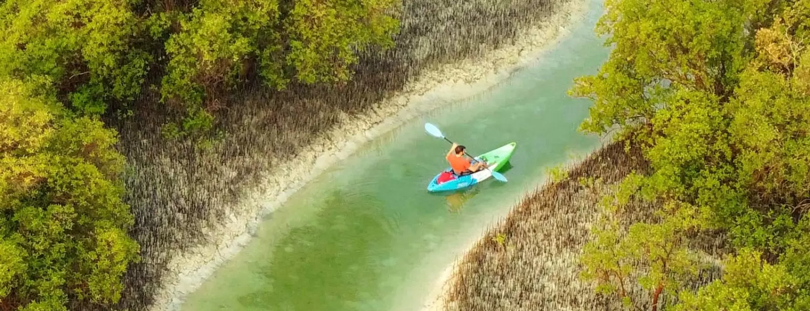 Guided Kayak Tour in the Reem Central Park Mangroves