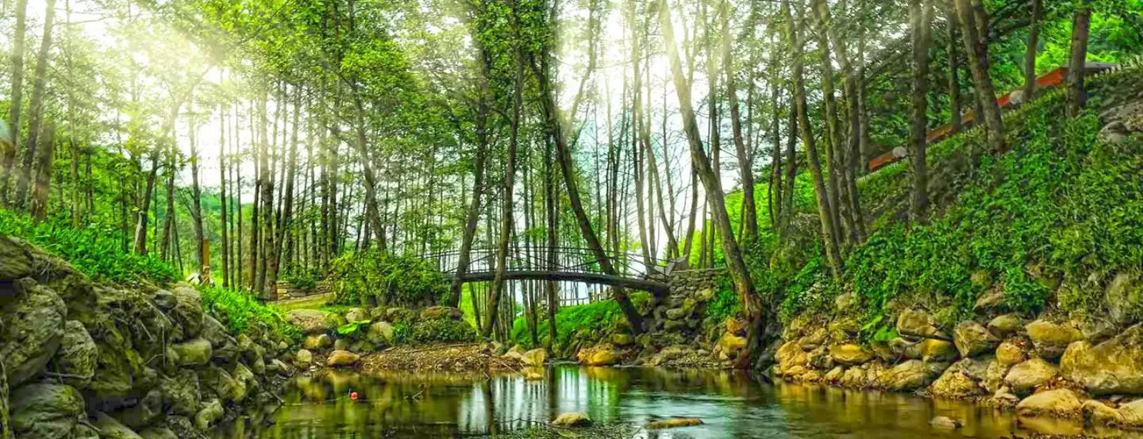 Daily Sapanca and Masukiye Tour: Full-Day Trip From Istanbul