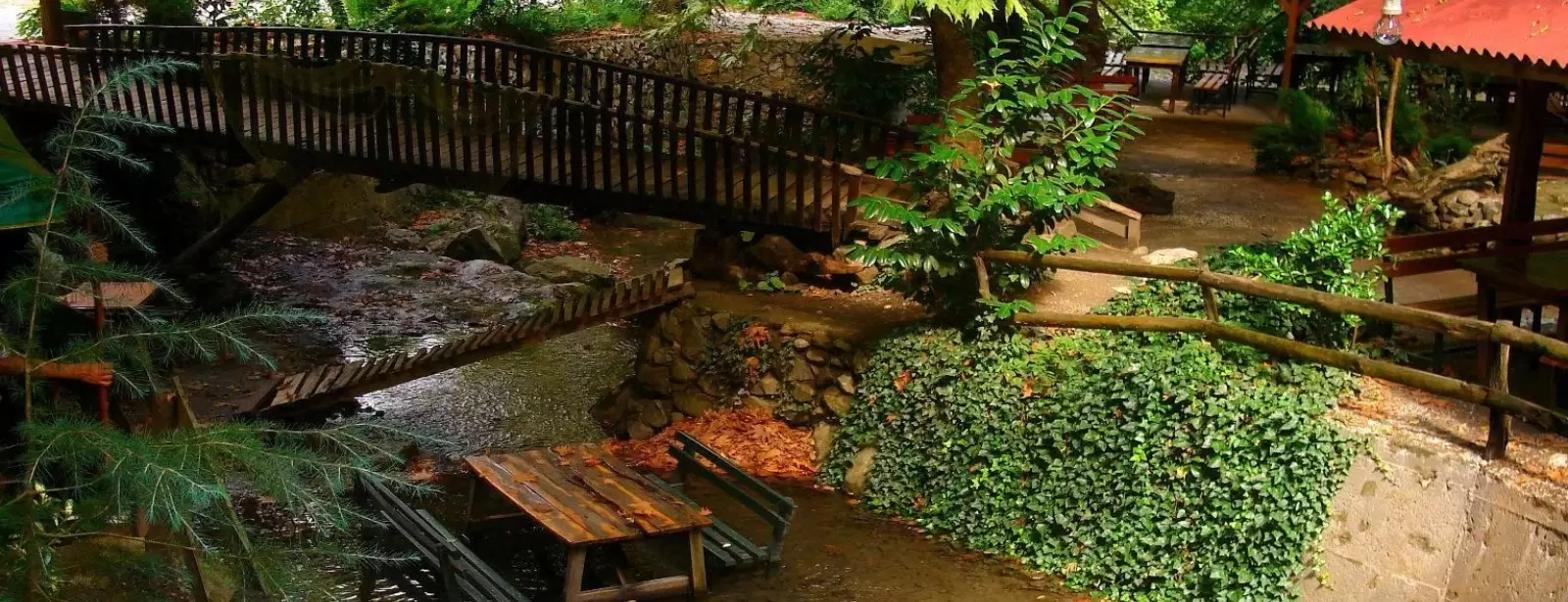 Daily Sapanca and Masukiye Tour: Full-Day Trip From Istanbul
