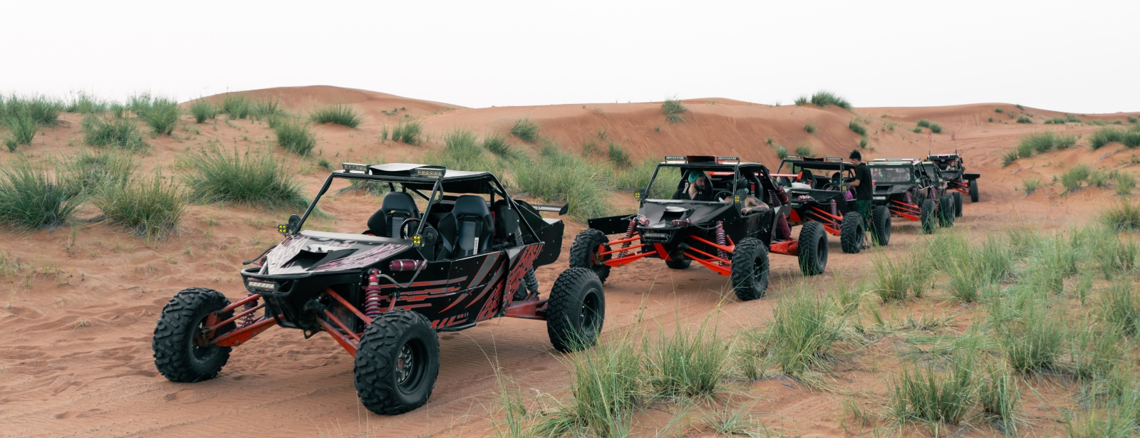 Private Dinner in the desert with optional Buggy Experience