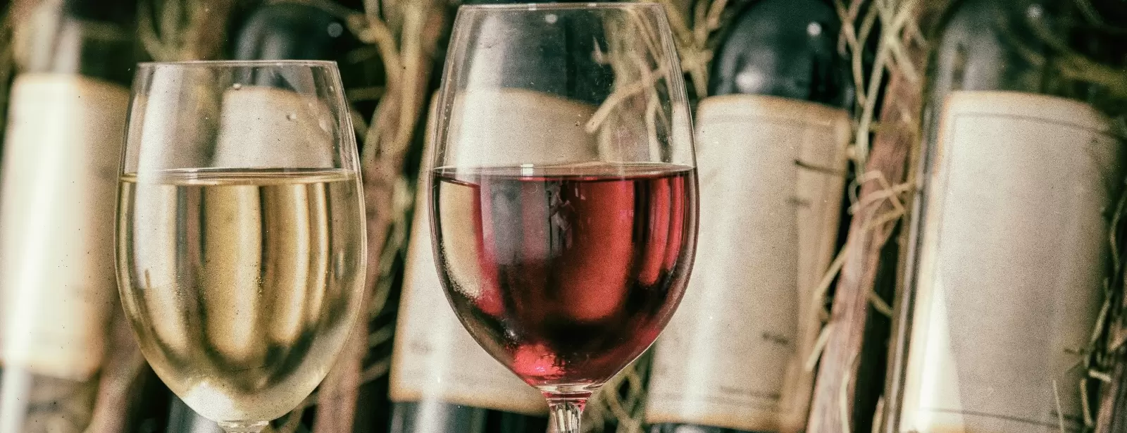 Ancient Ephesus & Wine Tasting Private Tour