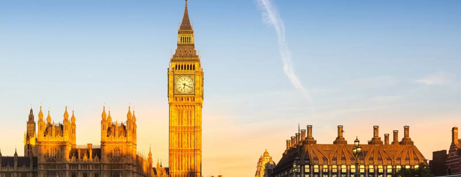 Westminster Walking Tour & London Eye Ticket