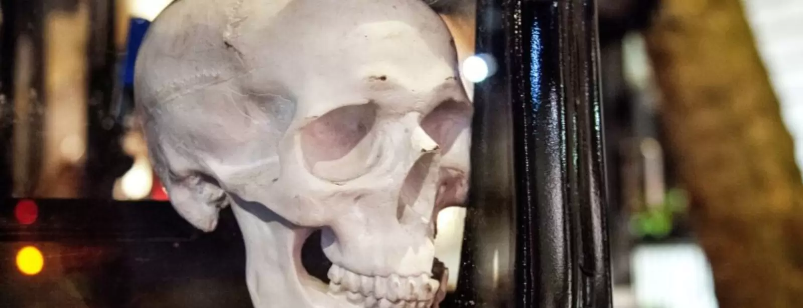 The Ghost Bus Tours - York
