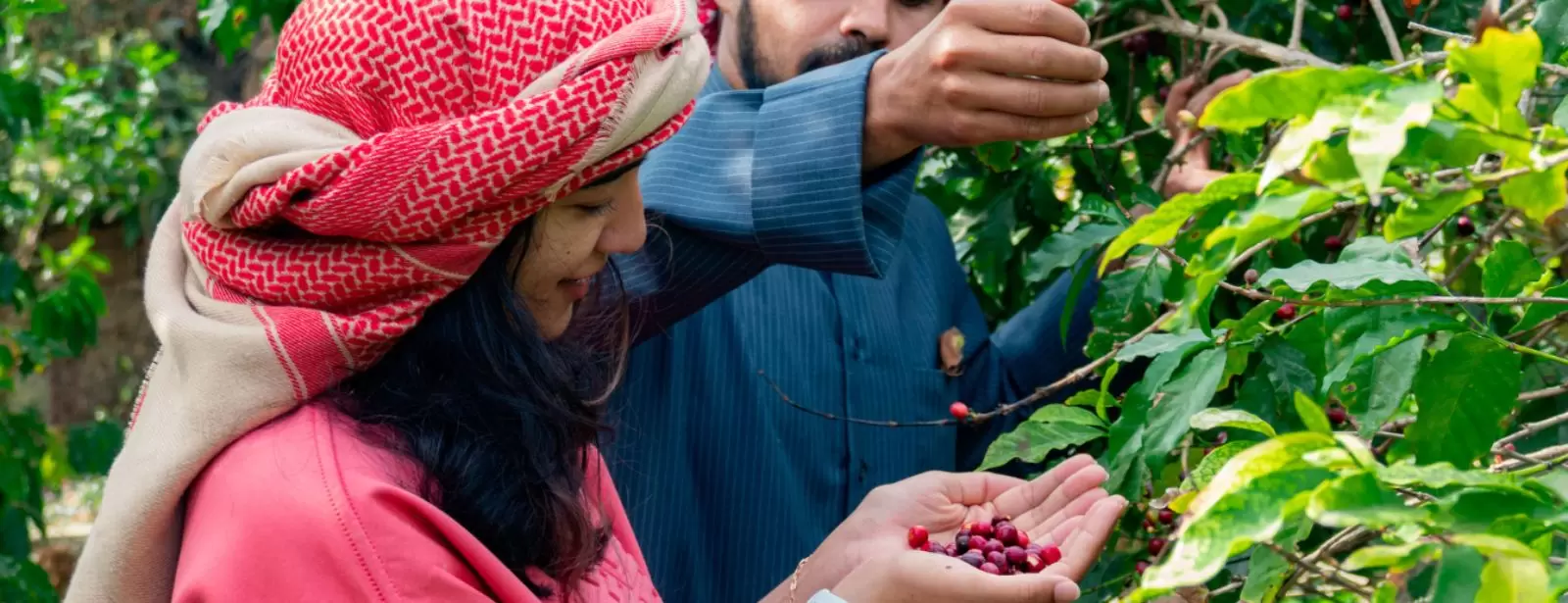 Hike with a local coffee farmer
