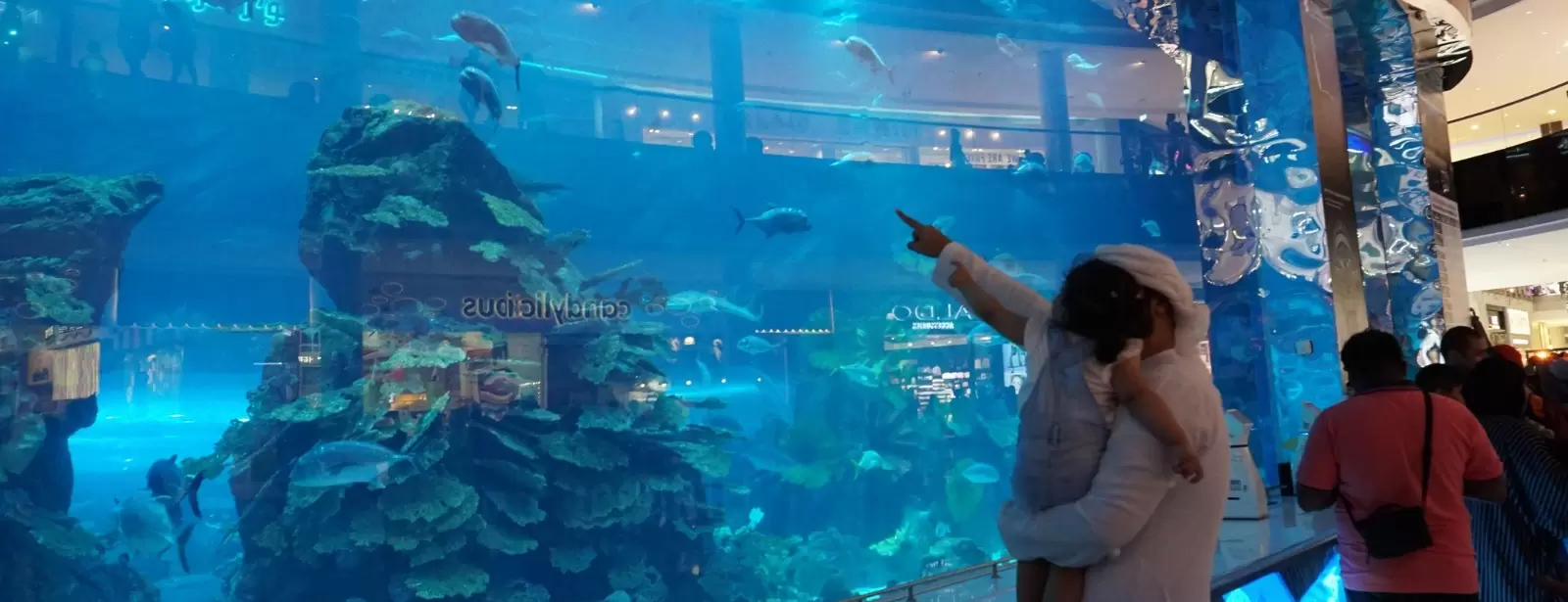 Dubai Aquarium & Underwater Zoo - Ray Encounter