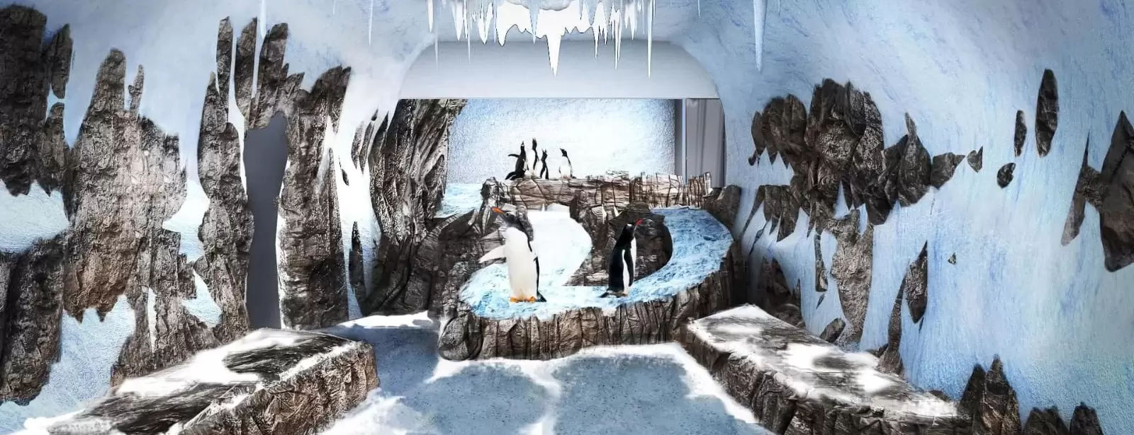 Dubai Aquarium & Underwater Zoo - Penguin Encounter