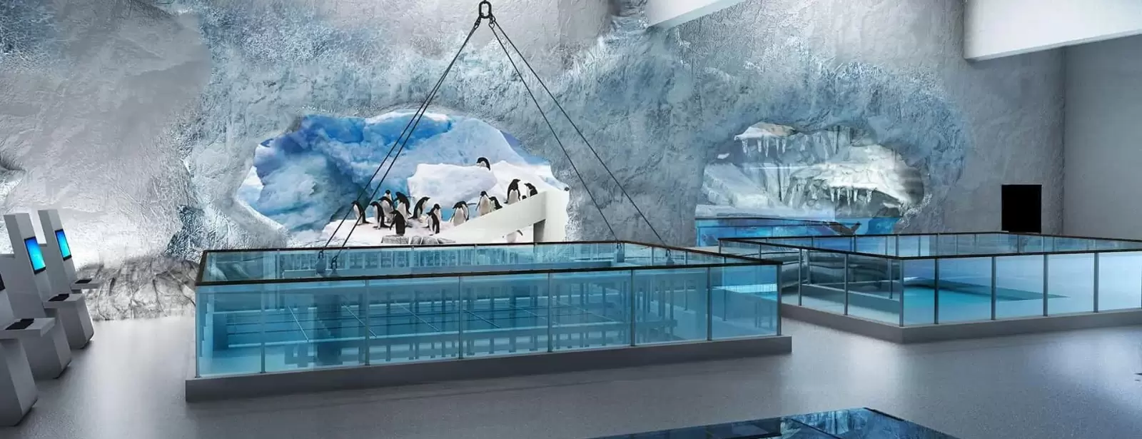 Dubai Aquarium & Underwater Zoo - Penguin Encounter