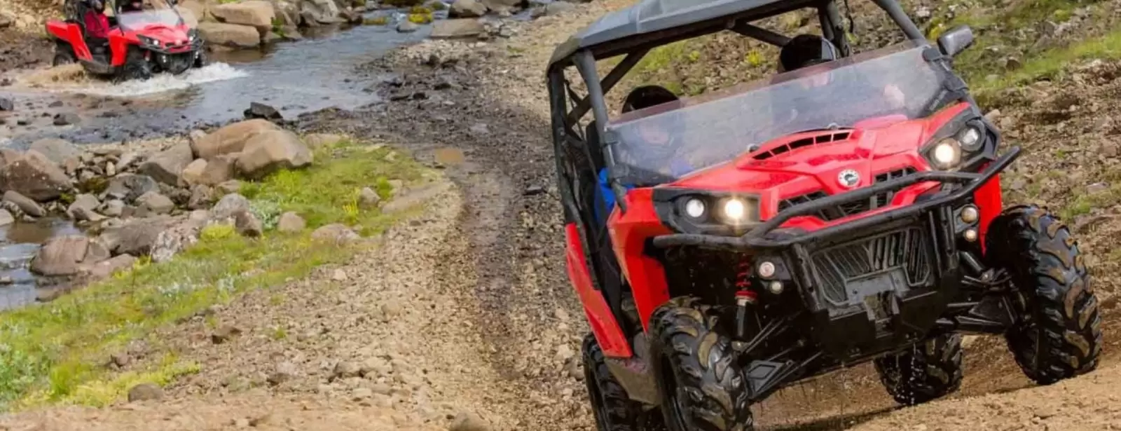 Buggy Safari