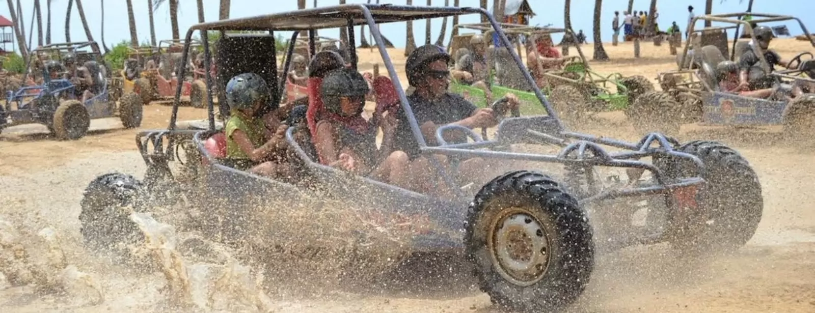 Buggy Safari
