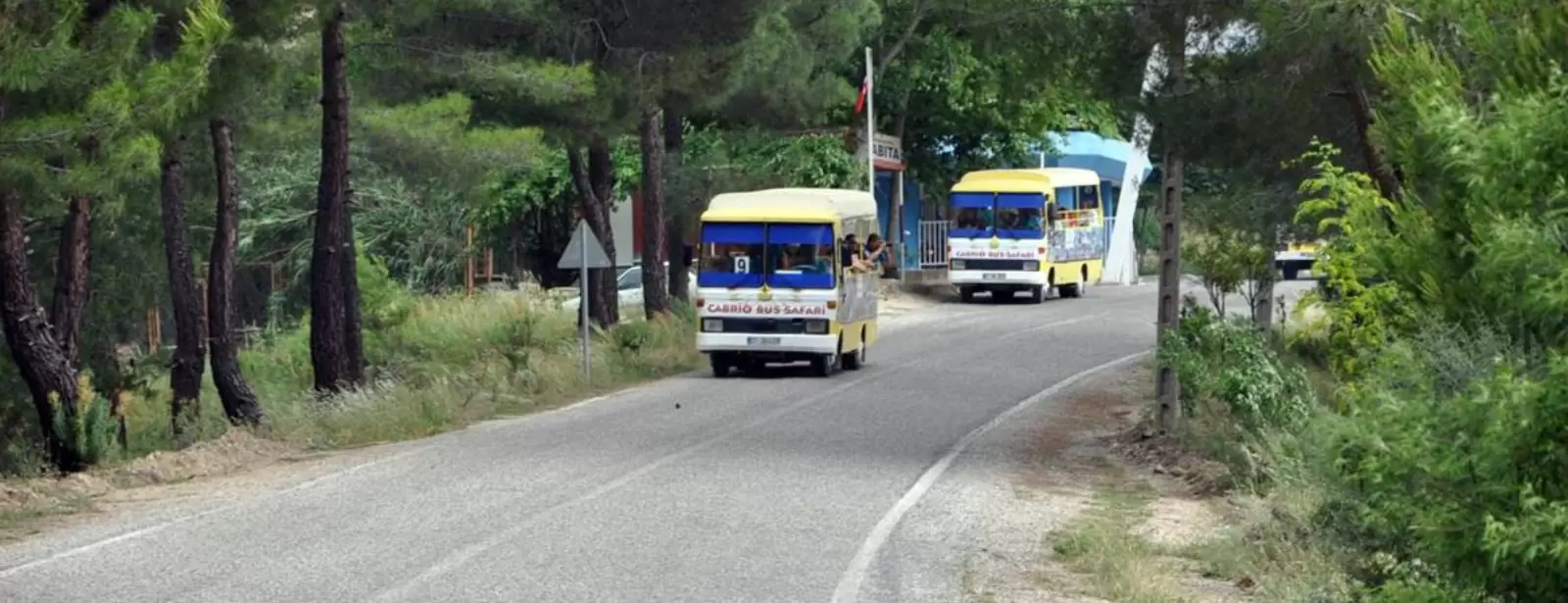 Cabrio Bus Safari