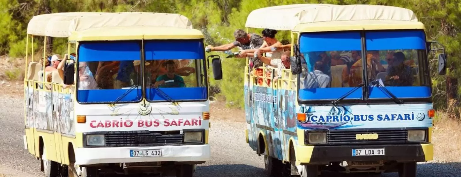 Cabrio Bus Safari