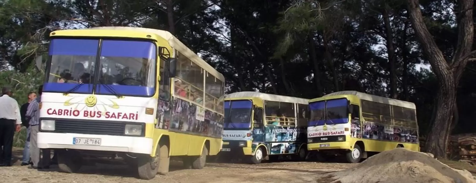 Cabrio Bus Safari