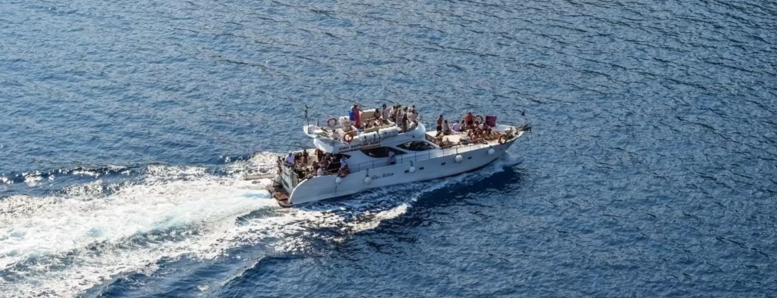 Dolphin Island Boat Trip
