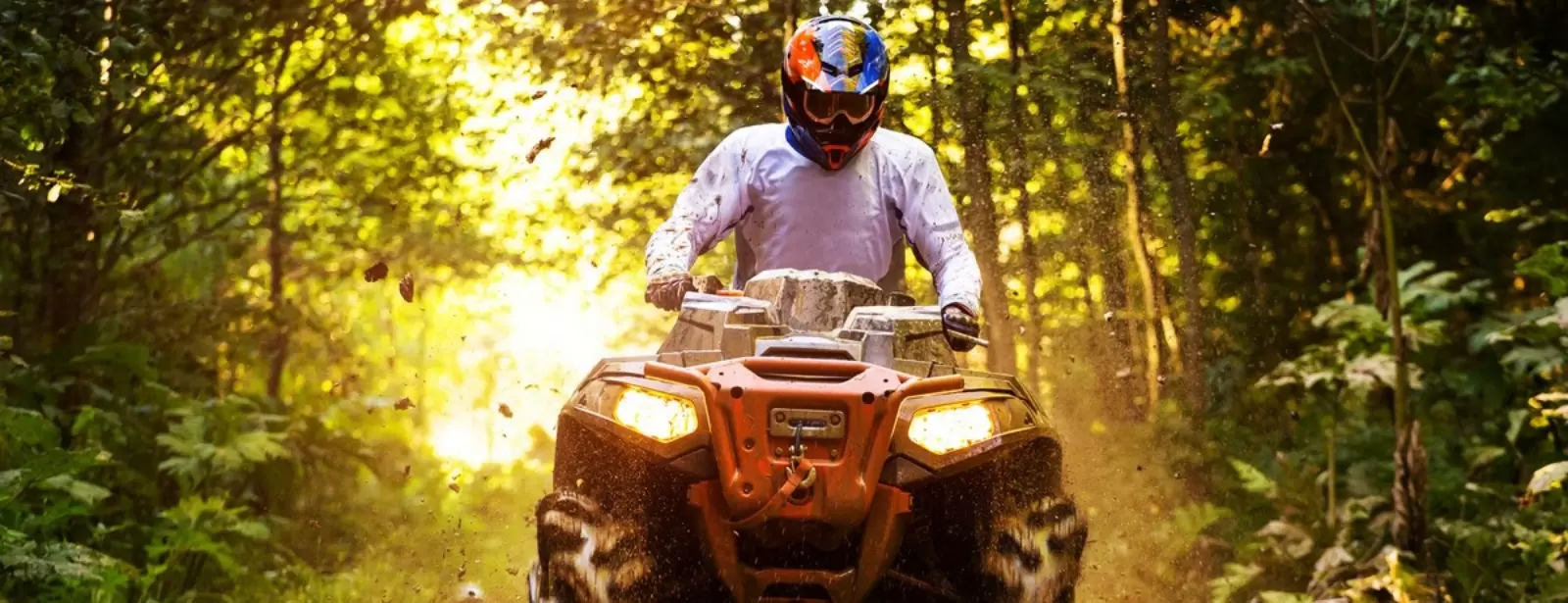 Quad Safari