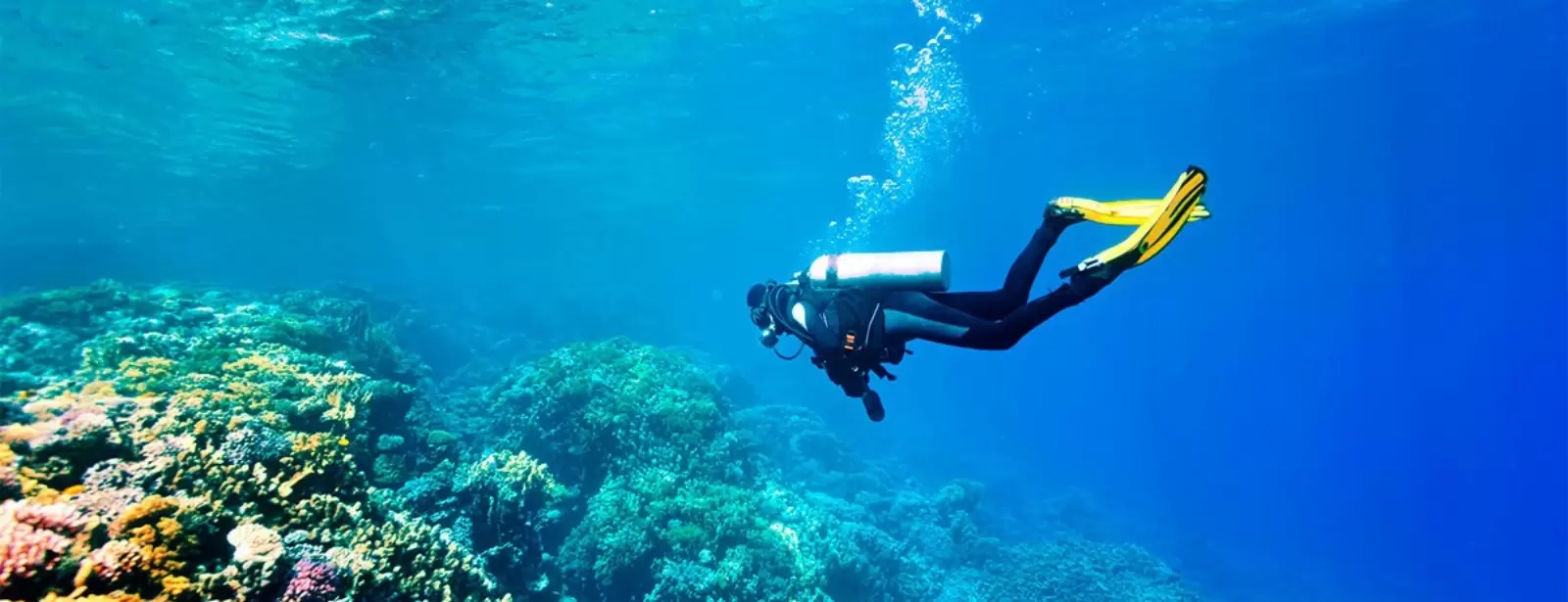 Scuba Diving Tour