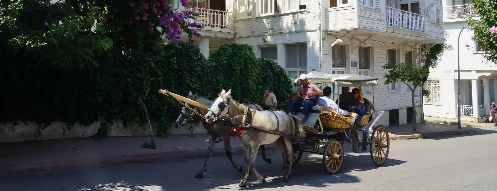 Princes' Island Tour from Istanbul