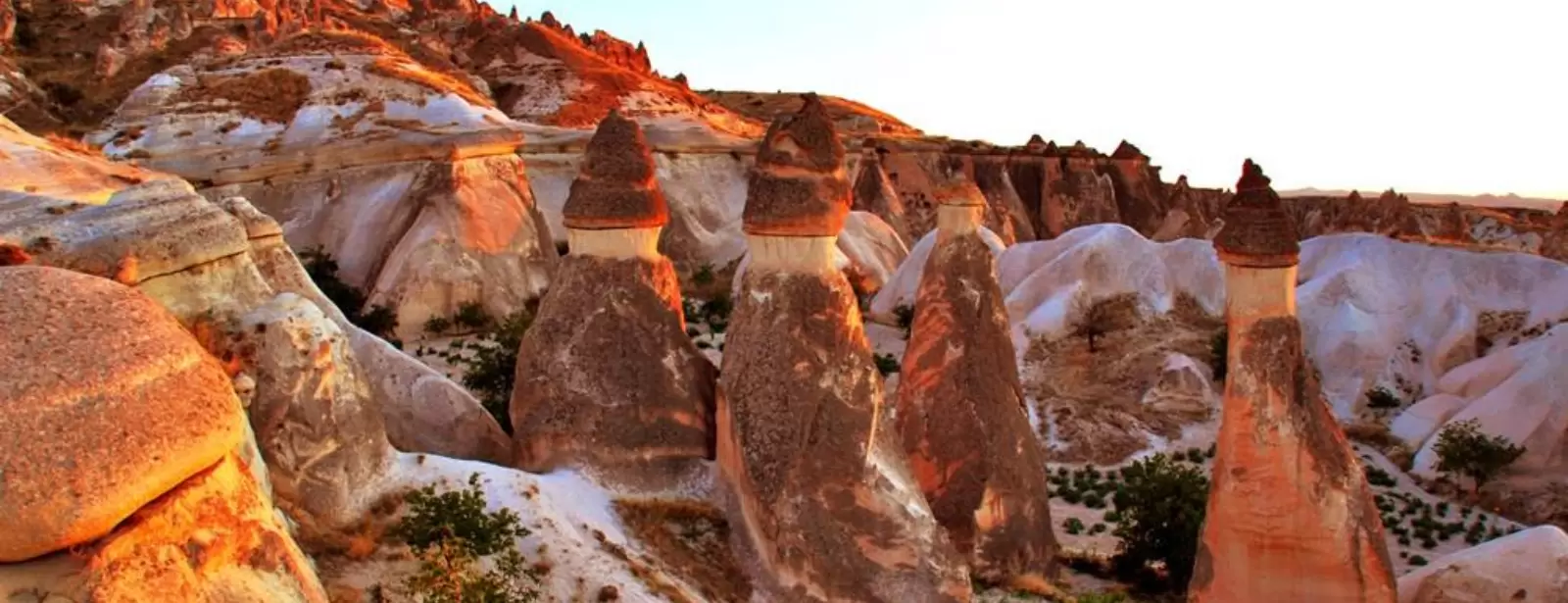 Cappadocia Tour (With Stay)