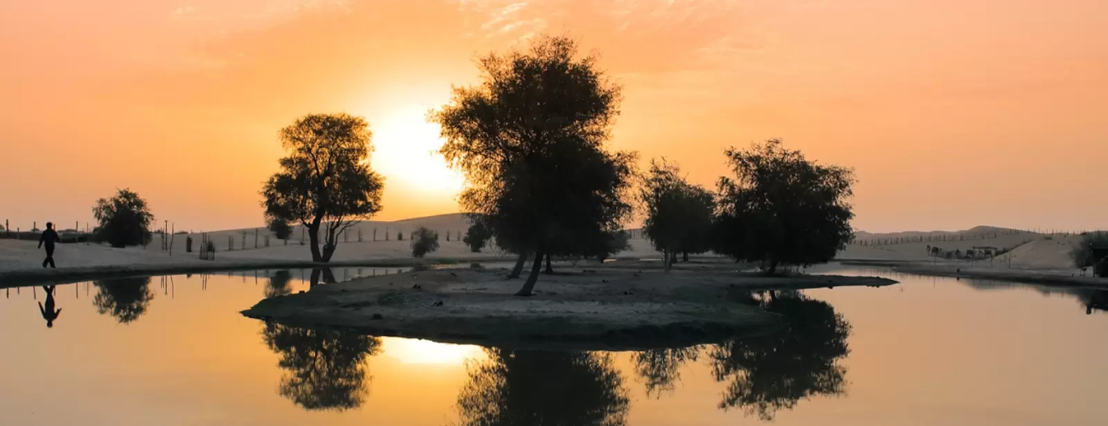 Dubai: Morning Heritage Safari by Vintage G-Class & Al Marmoom Oasis