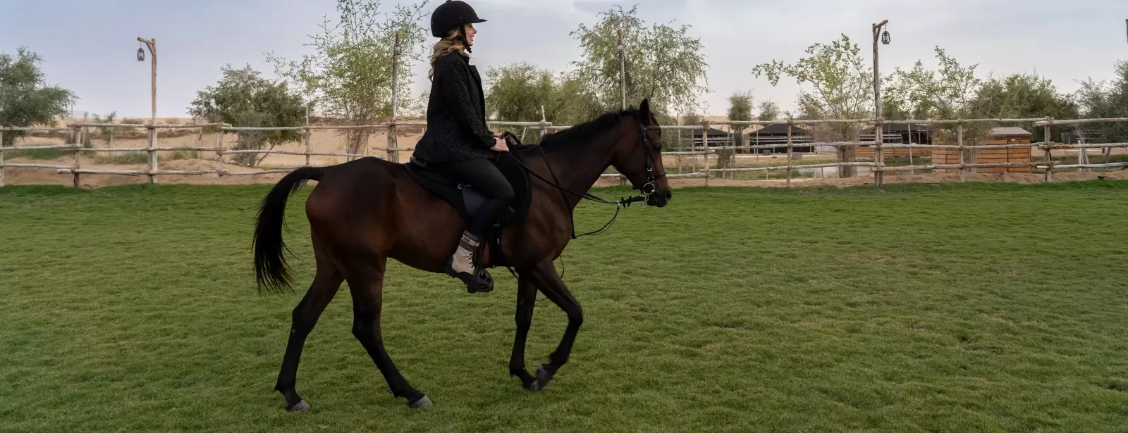 Sunset Horse Riding at Al Marmoom Oasis with a 6-Course Bedouin Dinner