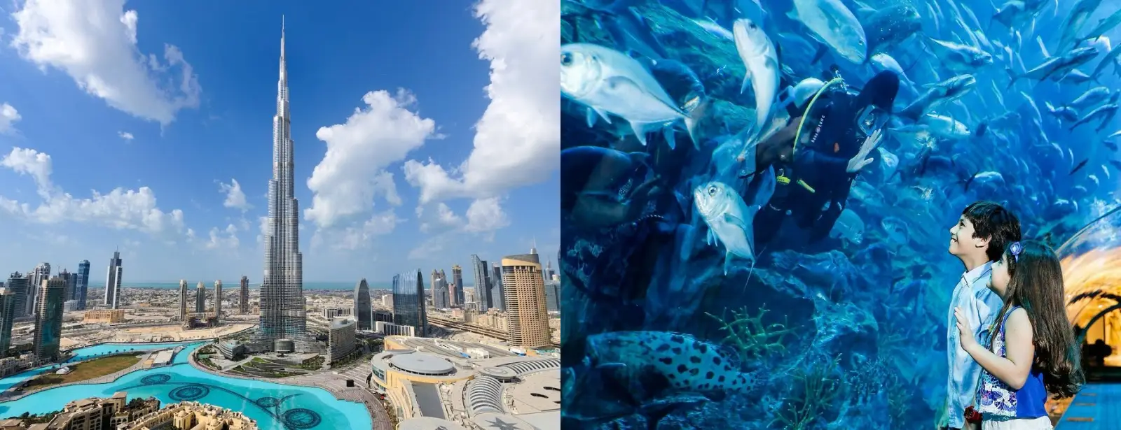 At the Top, Burj Khalifa and Dubai Aquarium