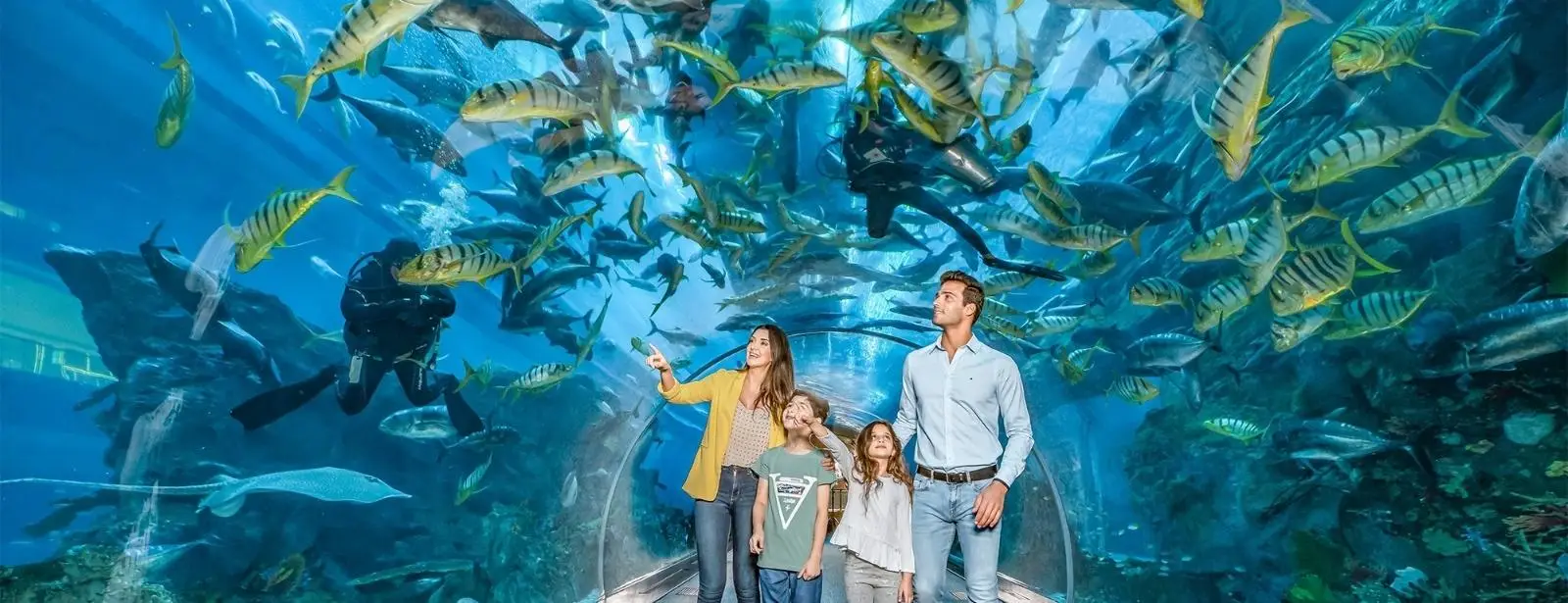 At the Top, Burj Khalifa and Dubai Aquarium