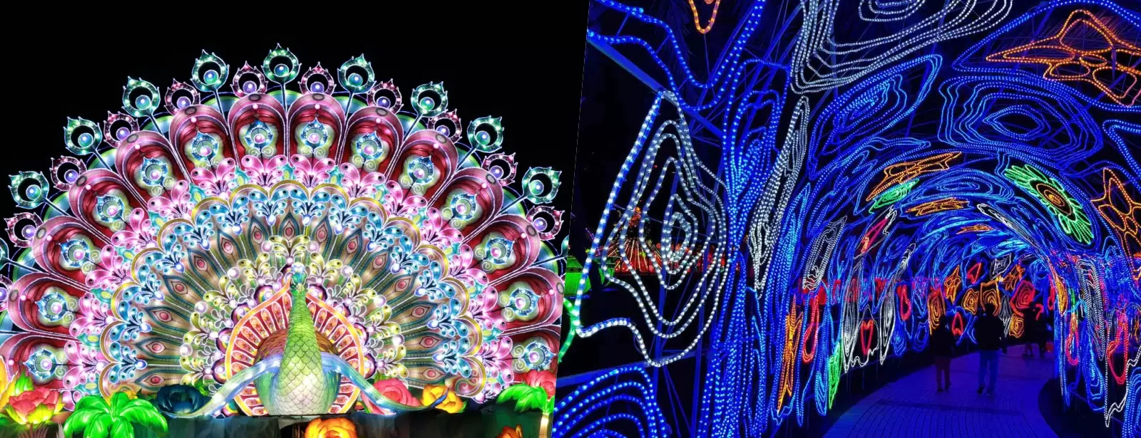 Dubai Garden Glow