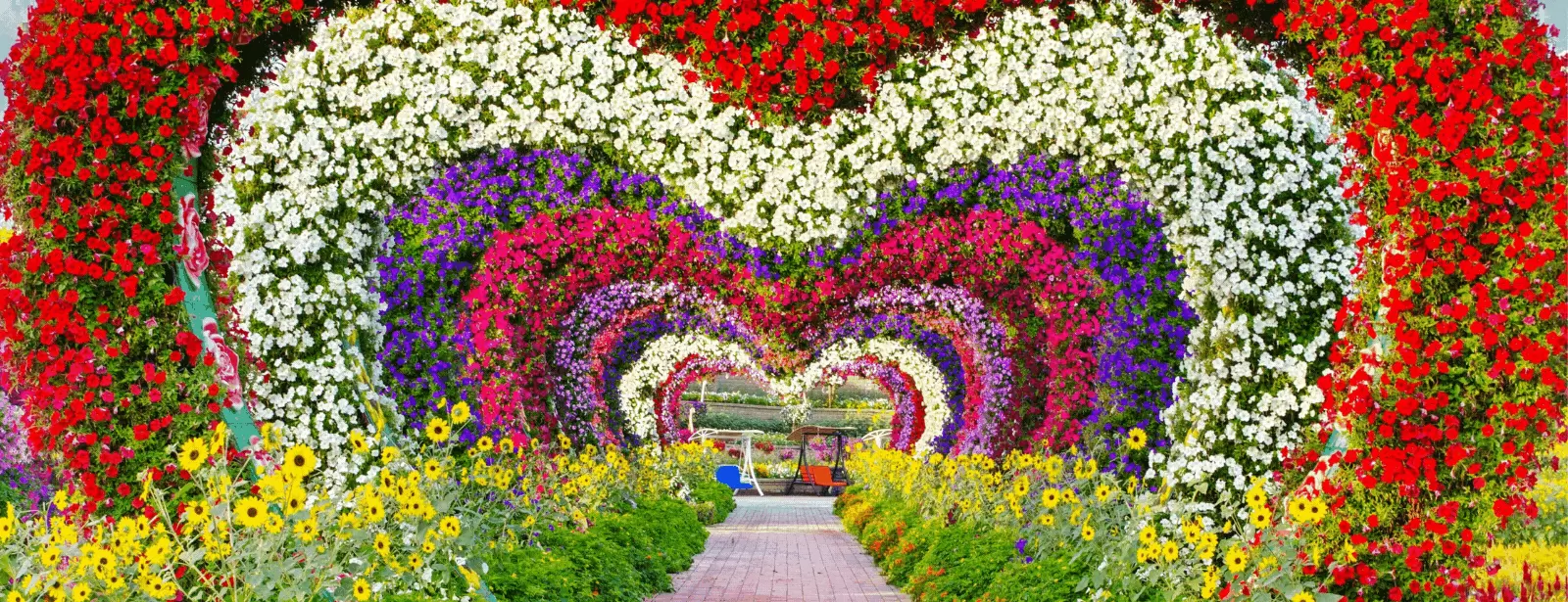 Dubai Miracle Garden