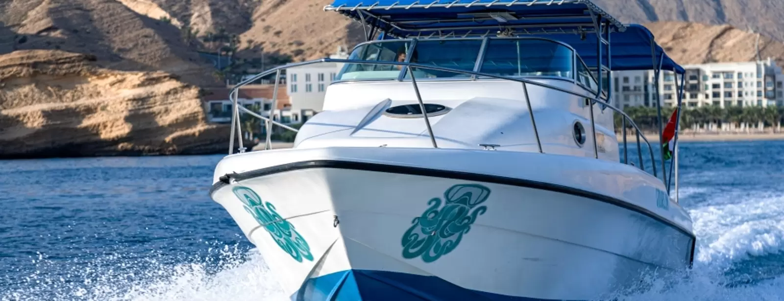 Private group Boating Experience with Dolphins Watching & Snorkeling