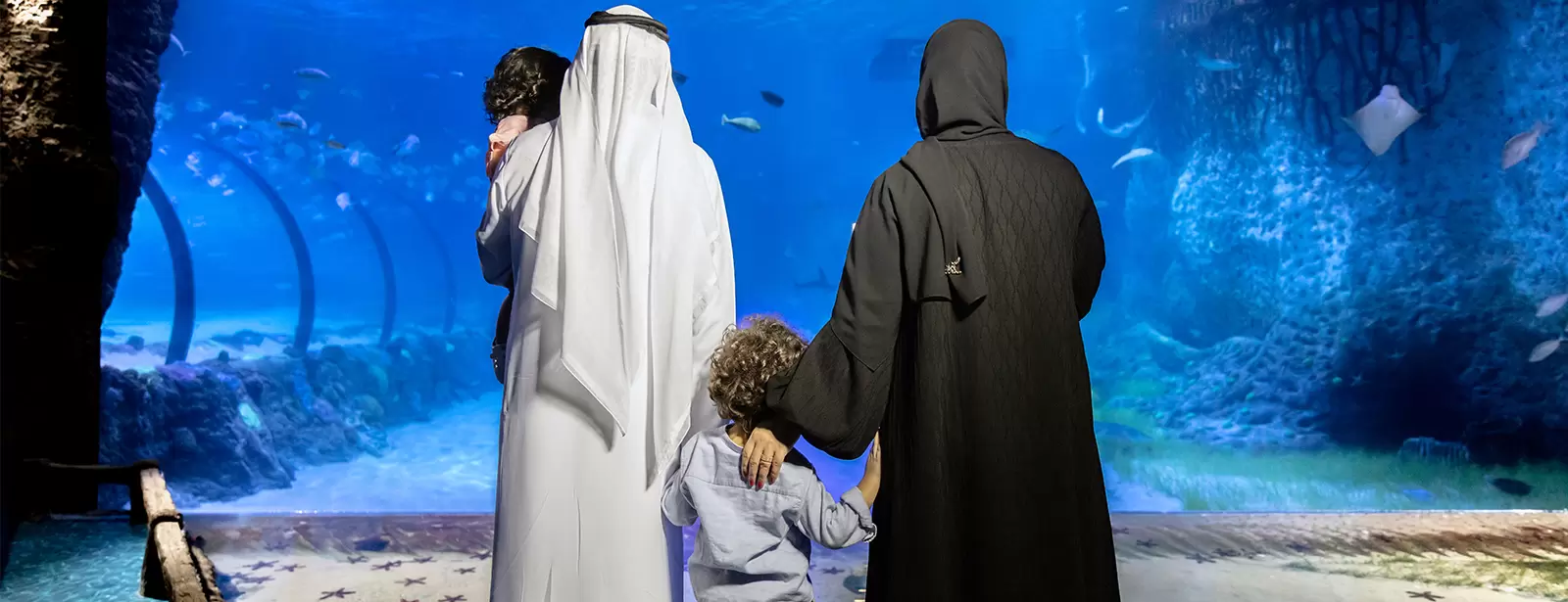 The National Aquarium Abu Dhabi