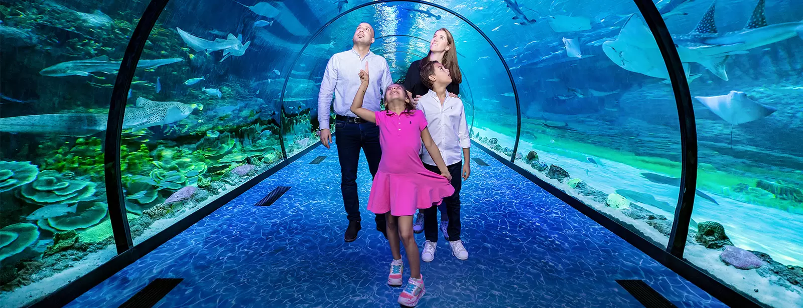 The National Aquarium Abu Dhabi