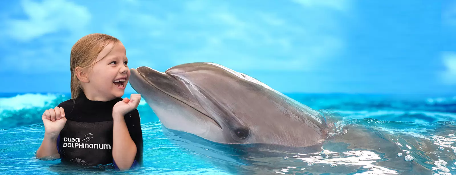 Swimming With Dolphins - Dubai Dolphinarium
