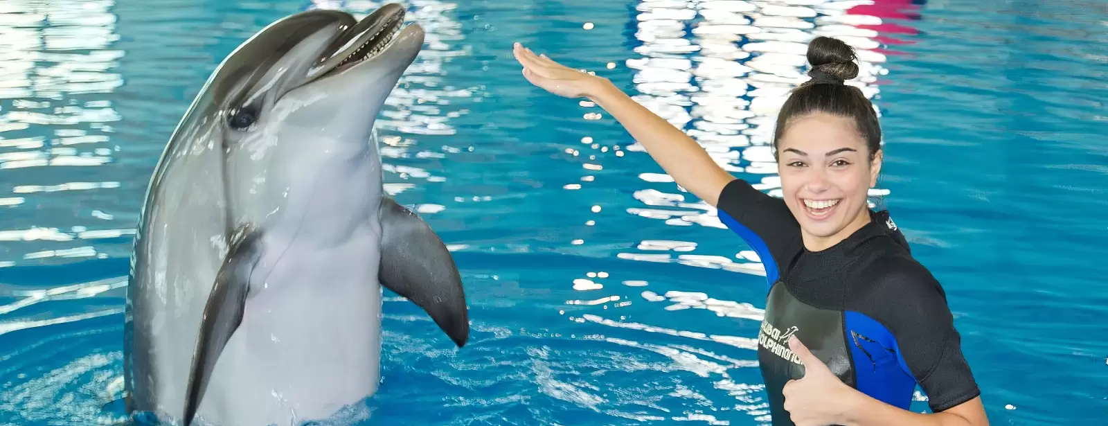 Swimming With Dolphins - Dubai Dolphinarium