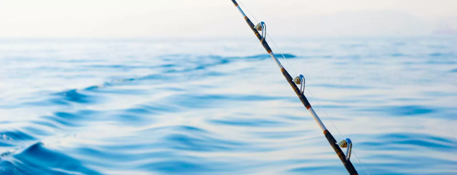 Private fishing boat tour