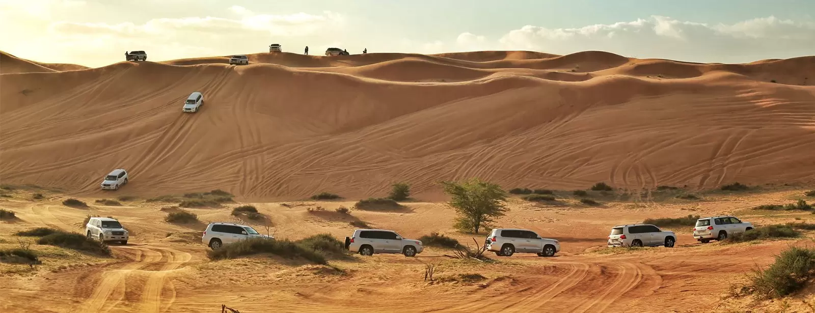 Desert Safari in RAK: Dune Bashing, Sand Boarding and a Camel Ride