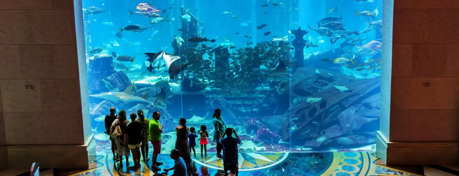 Lost Chambers Aquarium