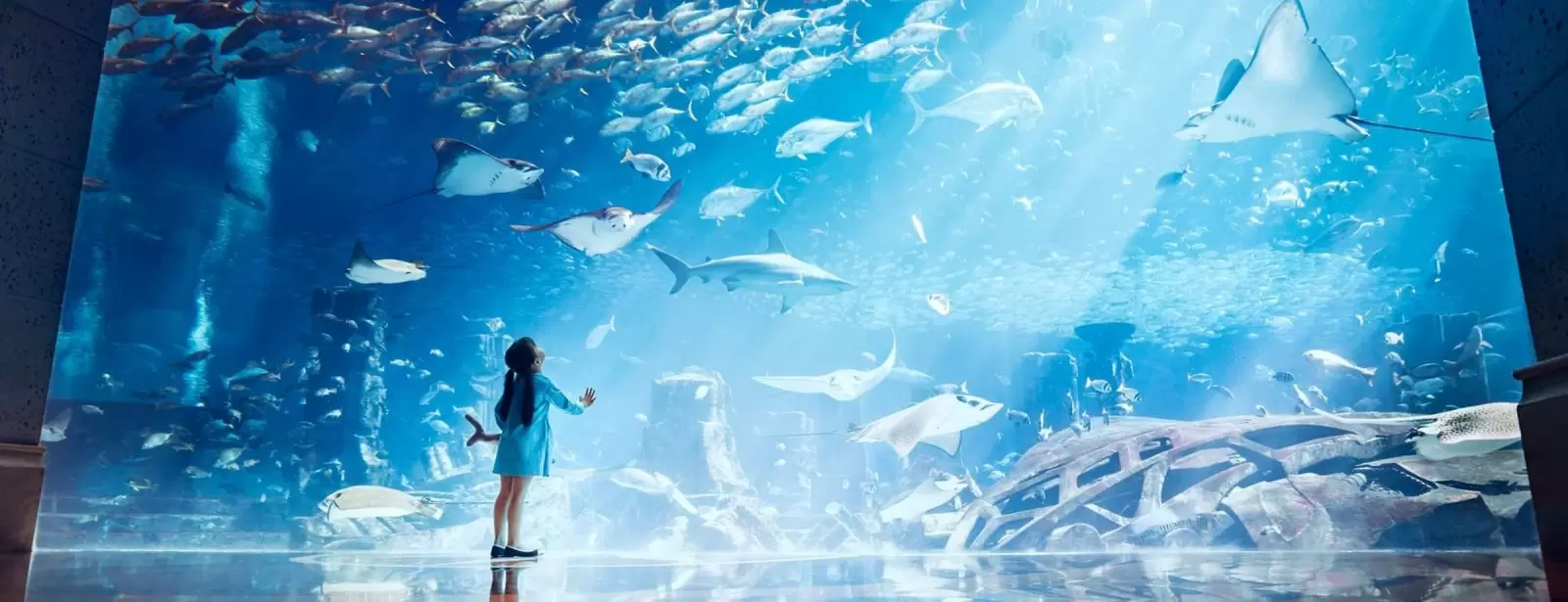 Lost Chambers Aquarium