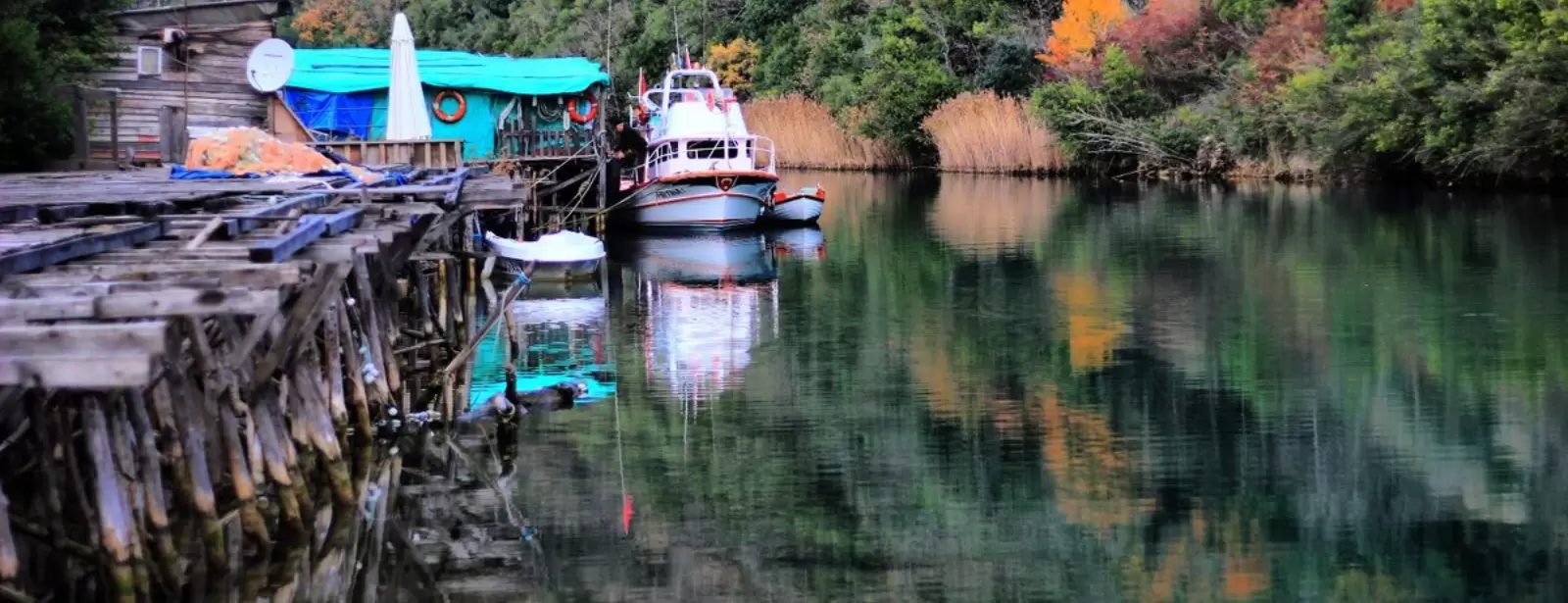Agva Day Trip from Istanbul
