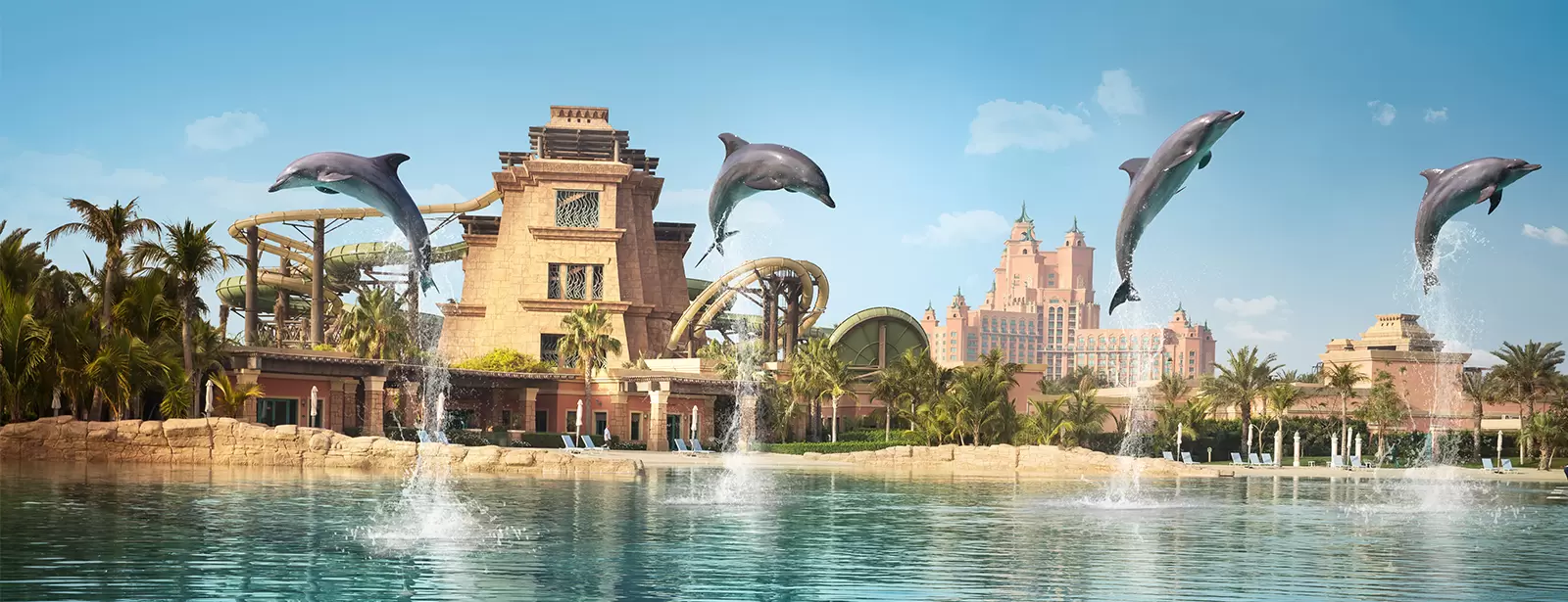 Dolphin Bay Experiences at Atlantis The Palm