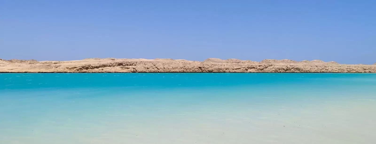 Jeep safari adventure at Nabq National Park with  camel ride and dinner