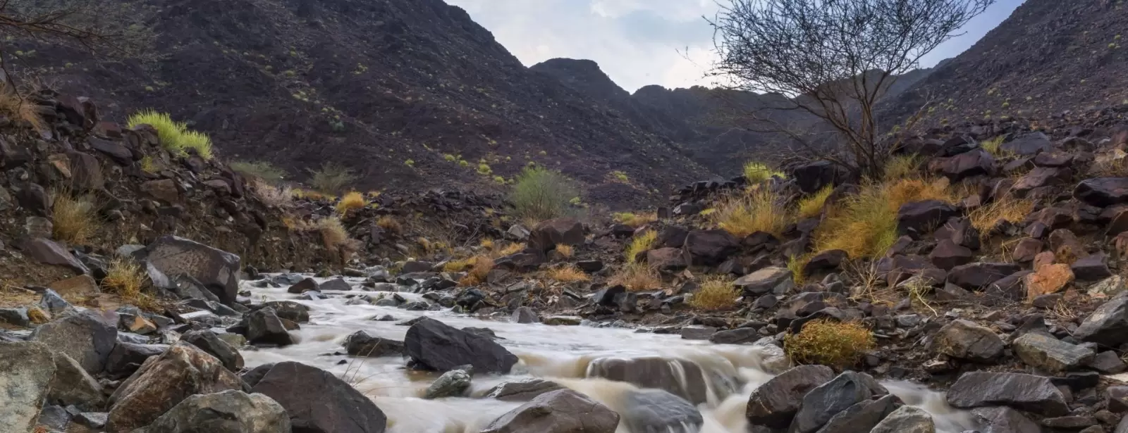 Arabian Adventures - Wadi Adventure