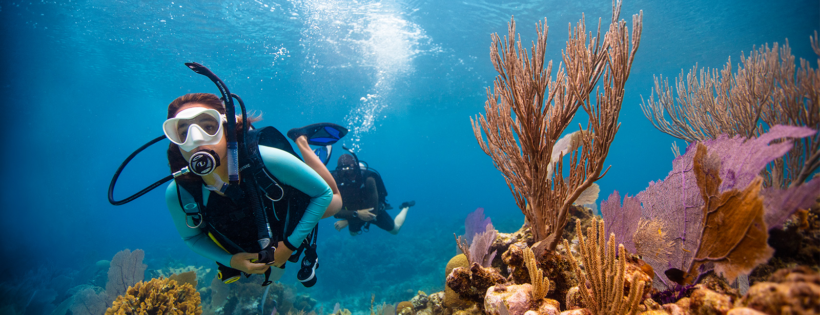 Dive & Snorkel Trips in Fujairah