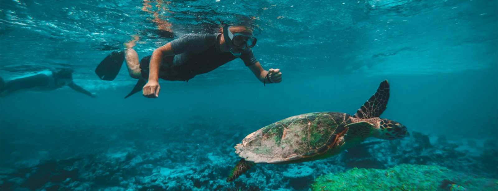 Dive & Snorkel Trips in Fujairah