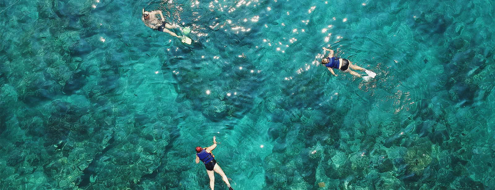 Dive & Snorkel Trips in Fujairah