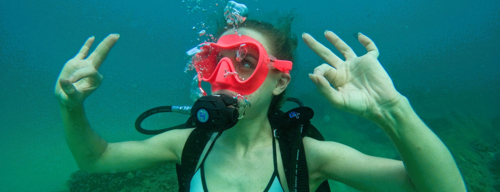 Dive & Snorkel Trips in Fujairah