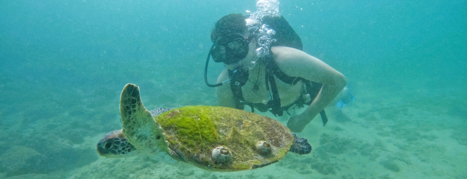 Dive & Snorkel Trips in Fujairah