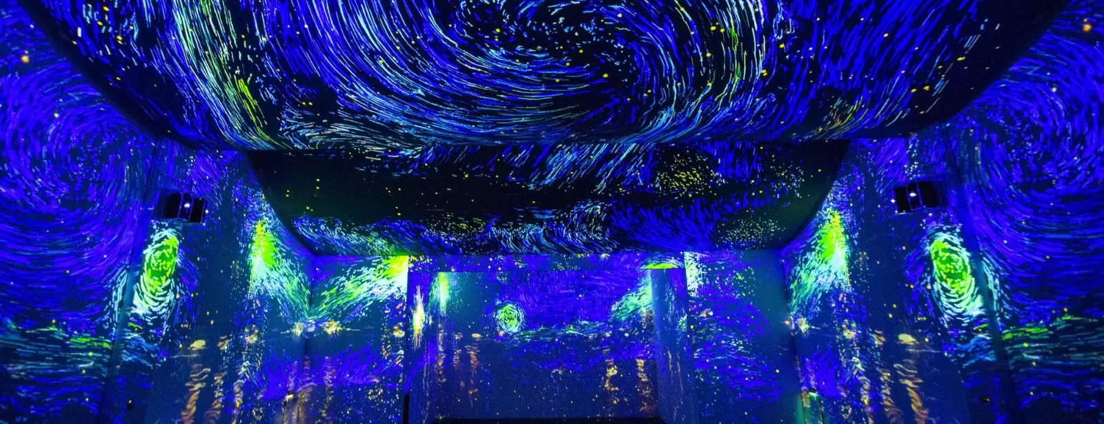 ToDA - Being Van Gogh